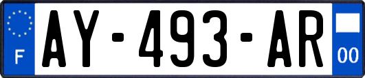 AY-493-AR