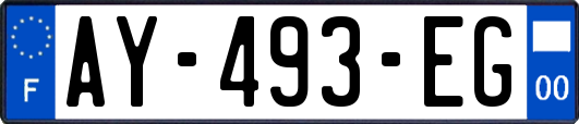 AY-493-EG