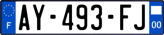 AY-493-FJ