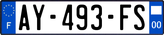 AY-493-FS