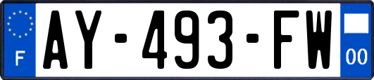AY-493-FW