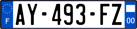 AY-493-FZ