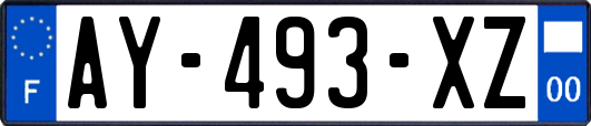 AY-493-XZ