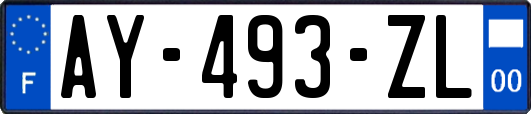 AY-493-ZL