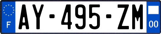 AY-495-ZM