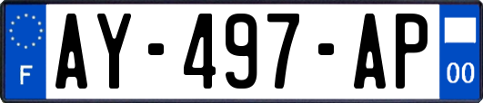 AY-497-AP