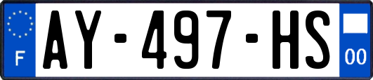 AY-497-HS