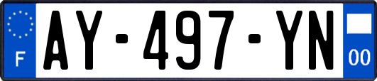 AY-497-YN
