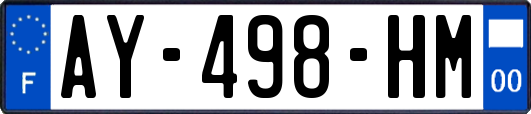 AY-498-HM