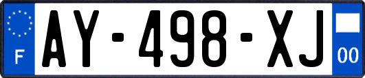 AY-498-XJ