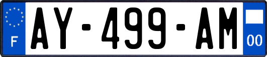 AY-499-AM