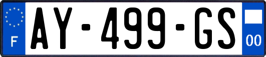 AY-499-GS