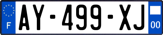 AY-499-XJ
