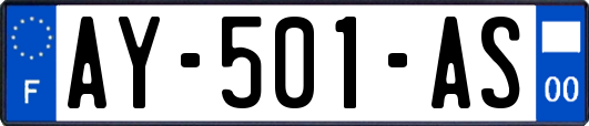 AY-501-AS