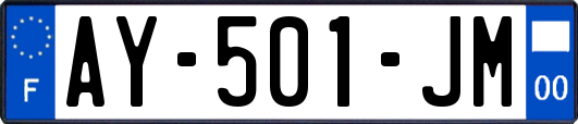 AY-501-JM