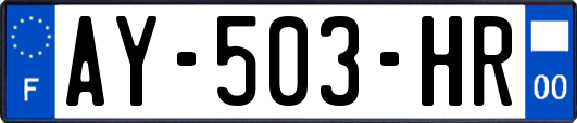 AY-503-HR