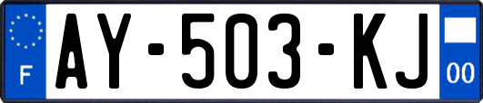 AY-503-KJ