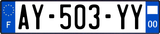 AY-503-YY