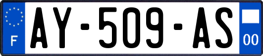 AY-509-AS