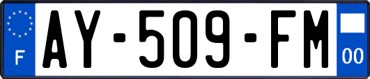 AY-509-FM