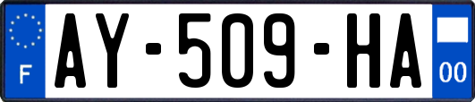 AY-509-HA