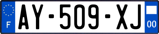 AY-509-XJ