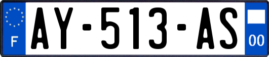 AY-513-AS