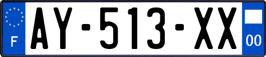 AY-513-XX