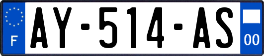 AY-514-AS