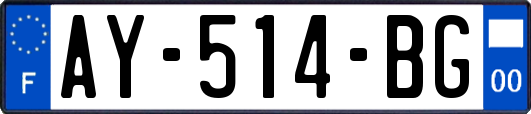 AY-514-BG