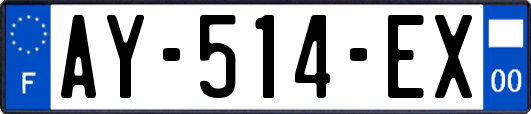 AY-514-EX