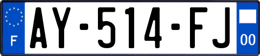 AY-514-FJ