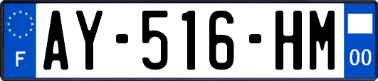 AY-516-HM