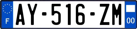 AY-516-ZM