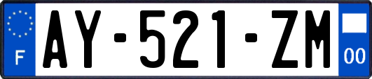 AY-521-ZM