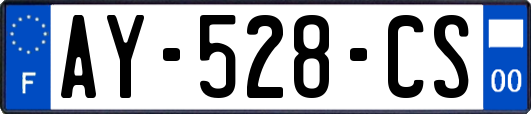 AY-528-CS