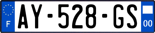 AY-528-GS