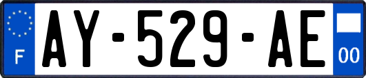 AY-529-AE