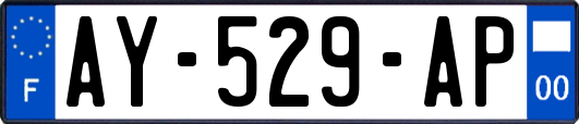 AY-529-AP