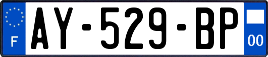 AY-529-BP
