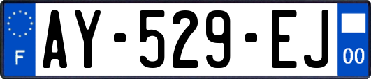 AY-529-EJ