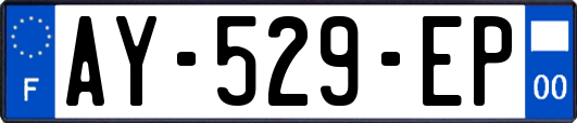 AY-529-EP