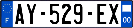 AY-529-EX