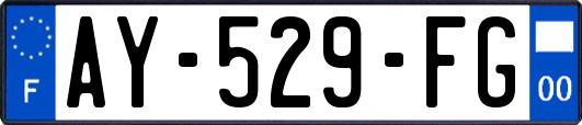AY-529-FG