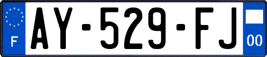 AY-529-FJ