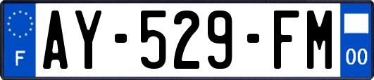 AY-529-FM