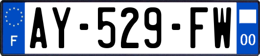 AY-529-FW