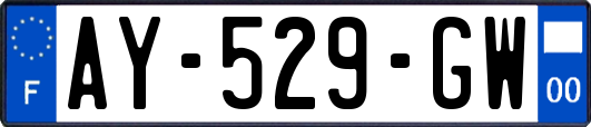 AY-529-GW