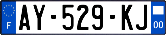 AY-529-KJ