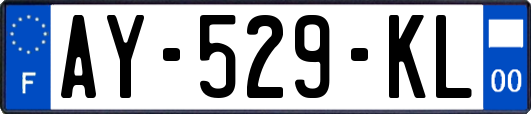 AY-529-KL